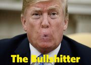 The Bullshitter
