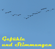 Gefühle und Stimmungen
